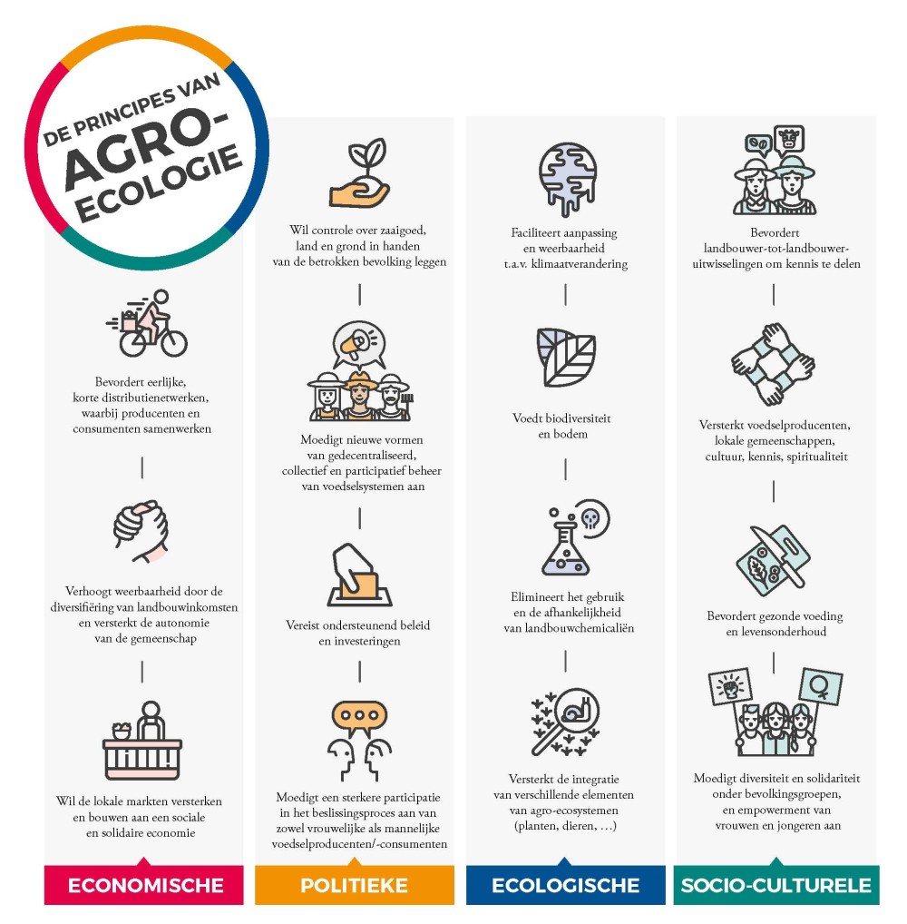 CIDSE_AE_Infographic_NL