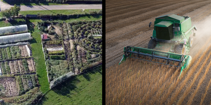 Het contrast tussen polycultuur met meerdere soorten gewassen, en monocultuur.