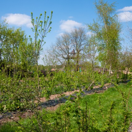 Agro-ecologie en het klimaat, hoe zit dat?
